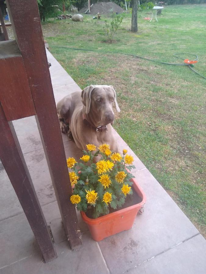 Complejo Viejo Sulky Mina Clavero Exterior foto